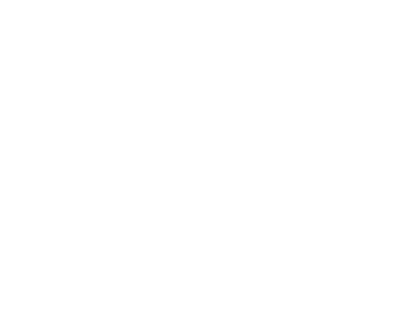 Ceez & Ray